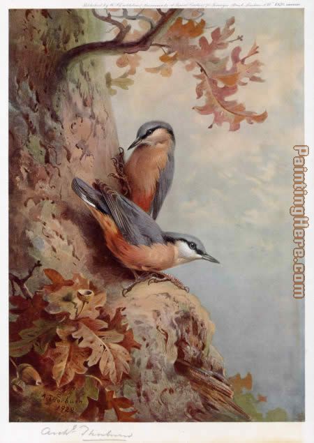 Archibald Thorburn Nuthatches